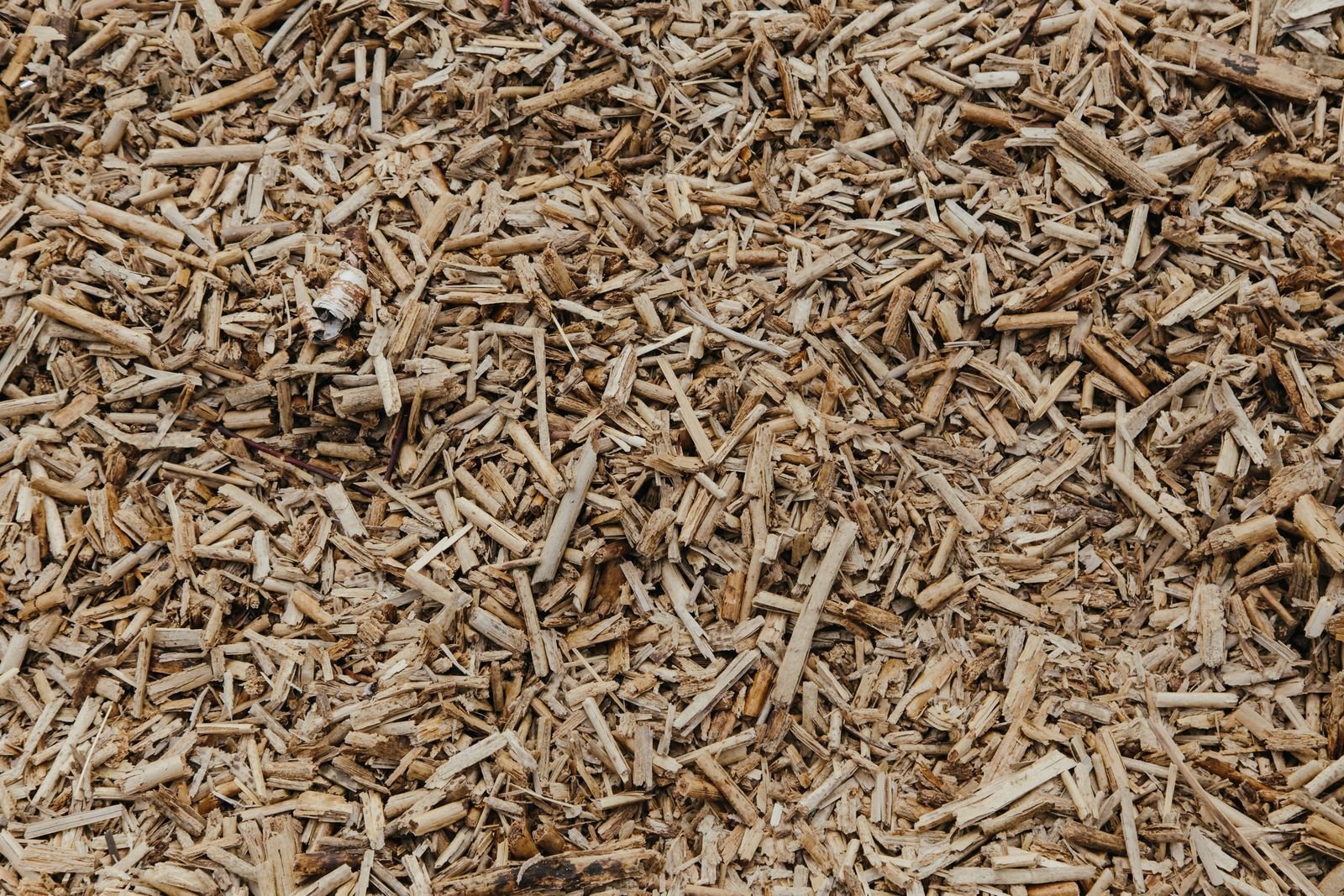 Kalimantan Forest Chips